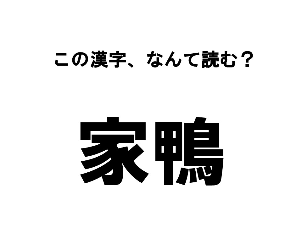 読めたらすごい 動物漢字クイズ この漢字 なんて読む La Farfa ぽっちゃり女子のおしゃれ応援マガジン ラ ファーファ公式サイト